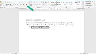 Miniature : les onglets et outils sur word