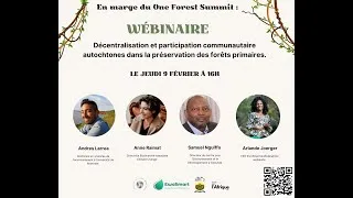Miniature : Comment mieux gérer les forêts primaires ?