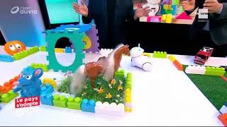 Miniature : Robot programmable Photon dans l'émission télé : "on n'est pas des pigeons"
