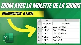 Miniature : COMMENT ZOOMER AVEC LA MOLETTE DE LA SOURIS?