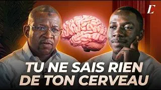 Miniature : 95% Des Gens Ne Savent Pas COMMENT Fonctionne Leur CERVEAU