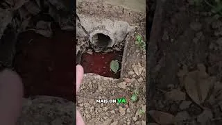 Miniature : Est-ce normal d'avoir des fissures sur ma maison : quand l’humidité agit sur les fondations !