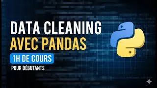 Miniature : Data Cleaning avec Python et Pandas : Le Guide Complet (1h de cours)