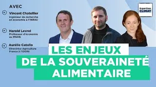 Miniature : Agriculture française : quel modèle pour la souveraineté alimentaire ?