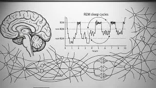 Miniature : Pourquoi ton cerveau crée des rêves chaque nuit — La science a enfin des réponses