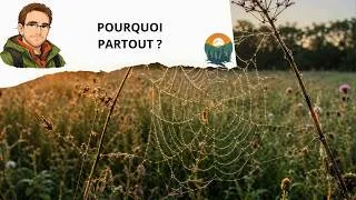 Miniature : L'oiseau qui plante des forêts sans le savoir 🌳🐦