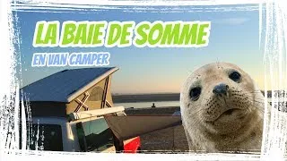Miniature : La Baie de Somme : visite en van T5 California !
