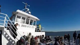 Miniature : Fraser Island 🇦🇺 - GO PRO HERO 5 07/18