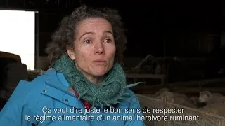 Miniature : Elevage Bio : respecter l'animal et le consommateur