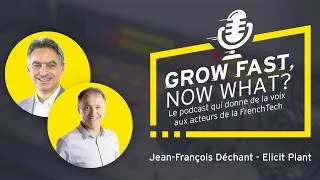 Miniature : GROW FAST, NOW WHAT? #37 - Elicit Plant