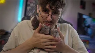 Miniature : Cette vidéo n'aurait jamais du sortir.