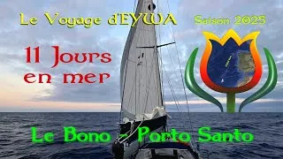 Miniature : Le Bono - Porto Santo, 11 jours en mer