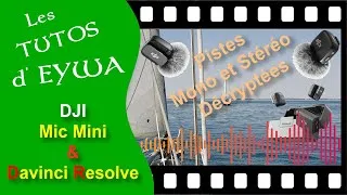 Miniature : DJI Mic Mini & DaVinci Resolve : Pistes Mono et Stéréo Décryptées