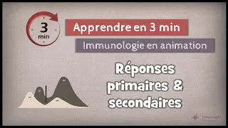 Miniature : 12-2 ◽Réponses humorales primaires et secondaires