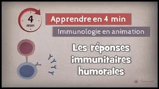 Miniature : 12-1 ◽ Aperçu des réponses immunitaires humorales