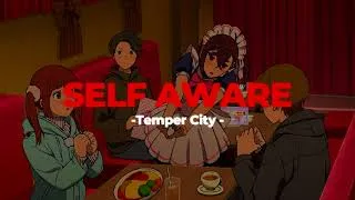 Miniature : 🔥Self Aware - Temper City (Slowed+Reverb)