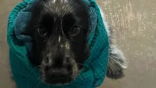 Miniature : Couture - Épisode 1 : Confection d’un snood