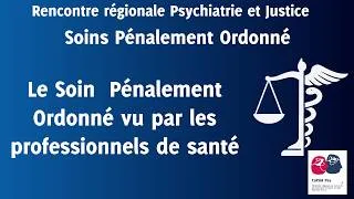 Miniature : Le SPO vu par les professionnels de santé