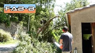 Miniature : Les jardins de FAB-B : Épisode 16