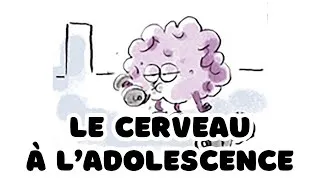 Miniature : LE CERVEAU A L'ADOLESCENCE 🧠
