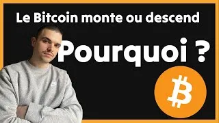 Miniature : Pourquoi le prix du Bitcoin monte ou descend ? La psychologie des foules.