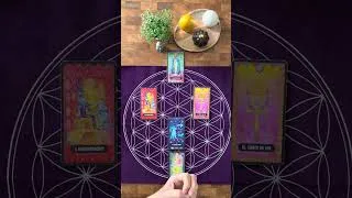 Miniature : Question activité professionnelle avec le tarot égyptien - tirage en croix.#tarot #guidance