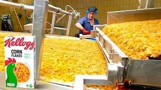 Miniature : Comment les Céréales Corn Flakes sont Fabriquées ? 🥣