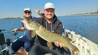 Miniature : Rencontre avec Régis Da costa 🔥 sur le lac du Der 🚤🎣👍