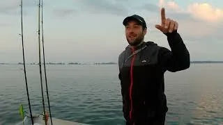 Miniature : Lac du Der , avec Mathieu et Quentin
