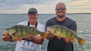 Miniature : Avec Mickael Lestrehan, à la recherche des masta perches,sur le Der 🎣🎣🎣👍