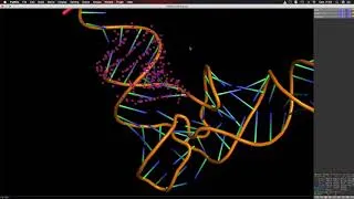 Miniature : Comprendre le repliement 3D d'un ARNt avec le logiciel PyMOL