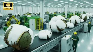 Miniature : Comment Ils Récoltent le Coton Pour Vos T shirts   Processus Secret d'Usine Révélé Étape par Étape