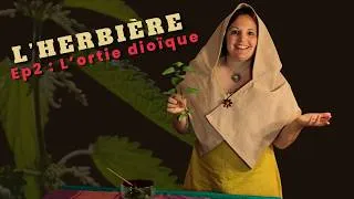 Miniature : Episode 2 - L'Herbière : L’ortie doïque (Urtica dioica L.) – La force cachée