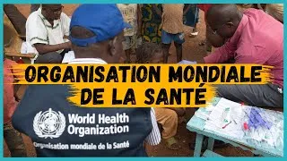 Miniature : Organisation Mondiale de la Santé🤔