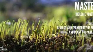 Miniature : Master Biologie végétale parcours Biology and technology of seeds and plant propagation- Entreprises