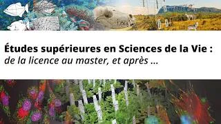 Miniature : Études supérieures en Sciences de la Vie : de la licence au master, et après ...