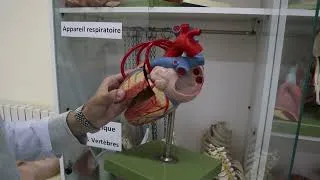 Miniature : PORTES OUVERTES 2025, FACULTE DE MEDECINE, UNIVERSITE BADJI MOKHTAR ANNABA