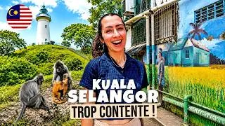 Miniature : Mon grand retour en Malaisie ! I Kuala Selangor I S4, EP52