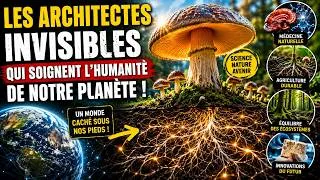 Miniature : Les Champignons Cachent un Secret Incroyable !