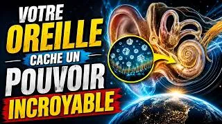 Miniature : Ces Cristaux Contrôlent Votre Équilibre   .