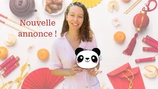 Miniature : Le chinois, c’est logique ! [ANNONCE SPÉCIALE 🎉]