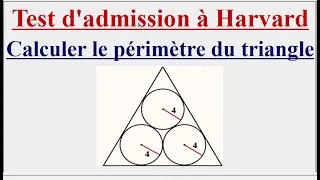 Miniature : Calculer le périmètre du triangle
