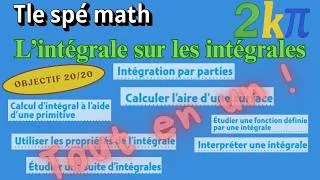 Miniature : Tout en un - Calcul intégral - Pour en finir avec les intégrales