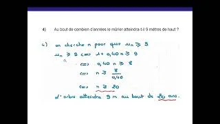 Miniature : BAC 1ère MATHS : Suites numériques (3)