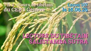 Miniature : Tib 2 - Cours de tibétain ”pousse de riz” -  leçon 107, le 18.06.26