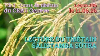 Miniature : Tib 2 - Cours de tibétain ”pousse de riz” -  leçon 106, le 11.06.26