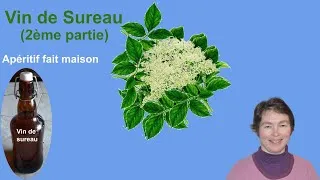 Miniature : Recette du Vin de Sureau / Apéro fait maison (2ème partie)
