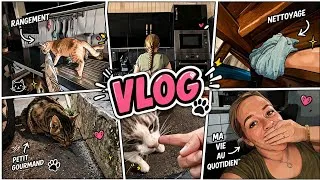 Miniature : Gros stress .je dépose mel chez Camille. Nettoyage......jeudi 16 vendredi 17 juillet VLOG 💜
