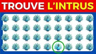 Miniature : TROUVE L'INTRUS  en 10 Secondes 🔎parmis ces 50 groupes d'animaux ! 🦁🐘🐠 (Très difficile🔴)