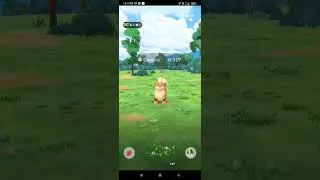 Miniature : Pokémon+go